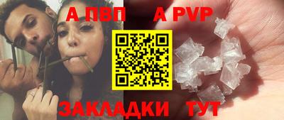 шишки Бердск
