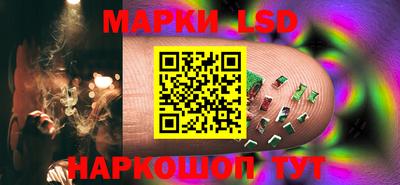 шишки Бердск