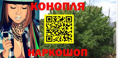 шишки Бердск