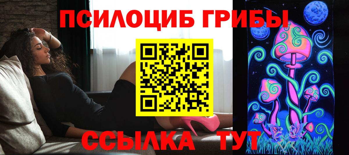 Галлюциногенные грибы GOLDEN TEACHER  Вход с VPN  Борзя 
